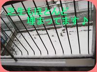IMG_2267_R.jpg